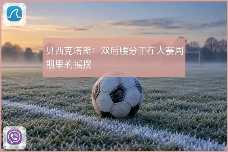 贝西克塔斯：双后腰分工在大赛周期里的摇摆