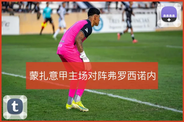 蒙扎意甲主场对阵弗罗西诺内
