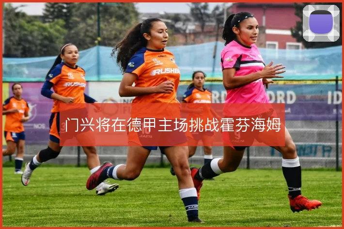 门兴将在德甲主场挑战霍芬海姆