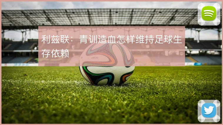 利兹联：青训造血怎样维持足球生存依赖
